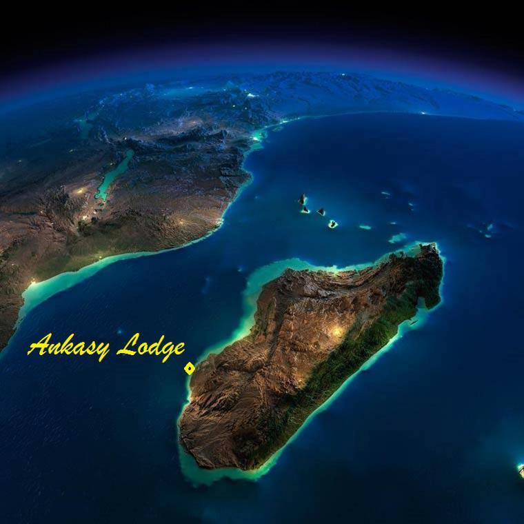 Ankasy Lodge Tsifota Exteriör bild